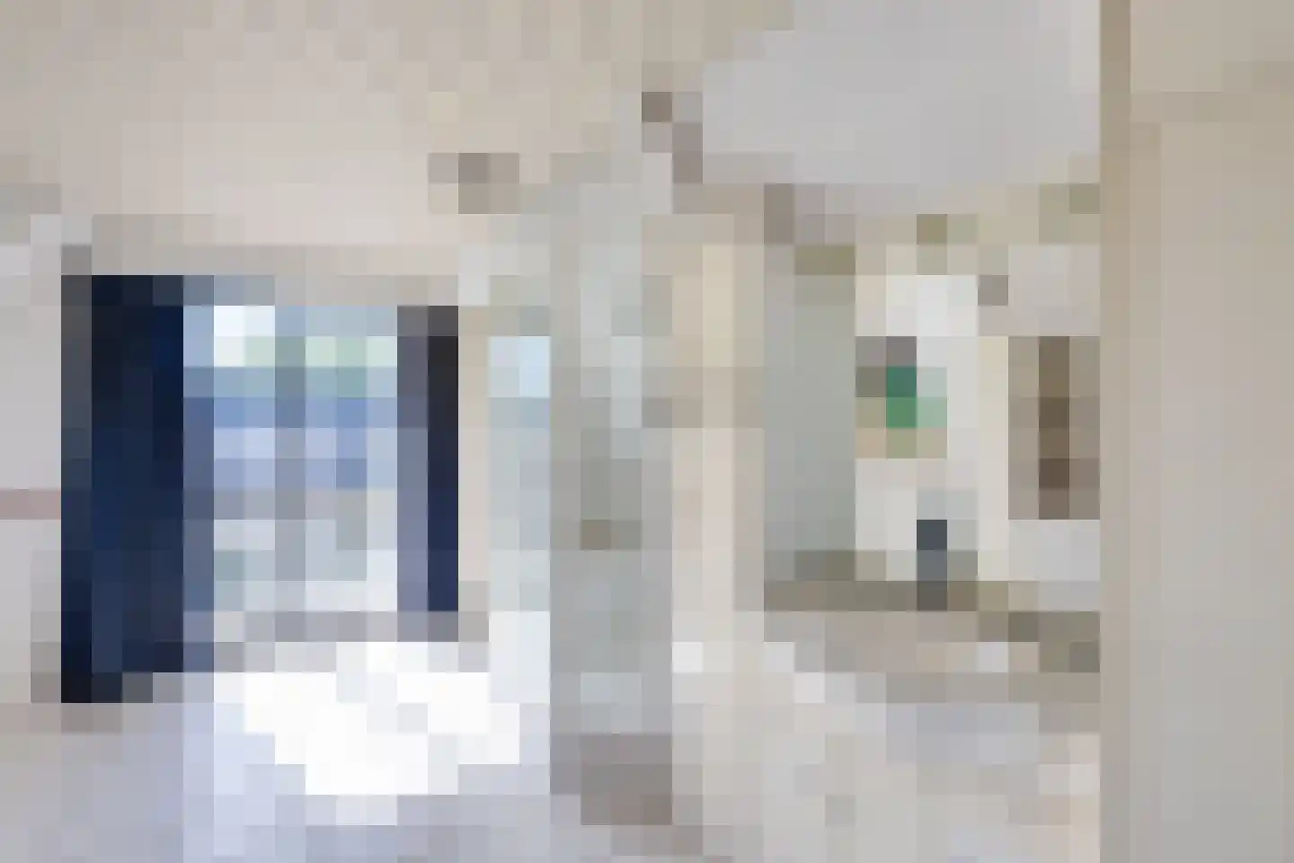 Slobbegorsedijk 15 Heijningen thumbnail 29