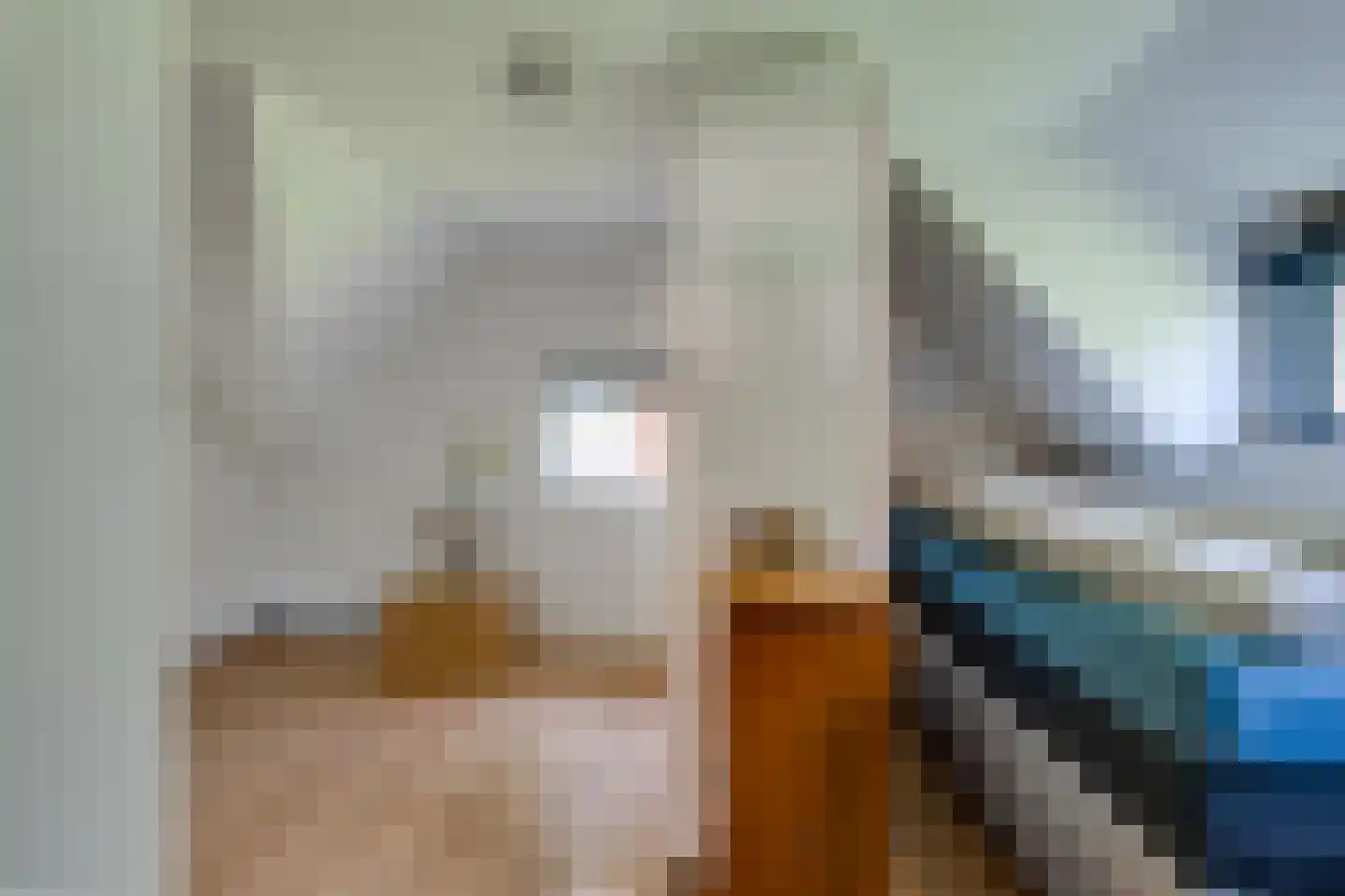 Slobbegorsedijk 15 Heijningen thumbnail 34