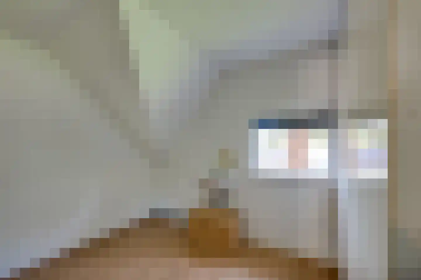 Slobbegorsedijk 15 Heijningen thumbnail 35