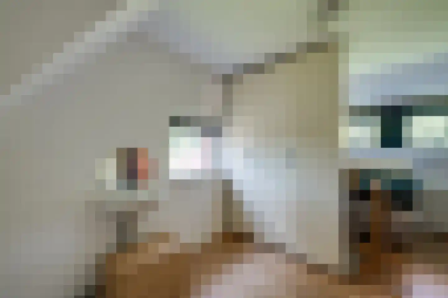 Slobbegorsedijk 15 Heijningen thumbnail 36