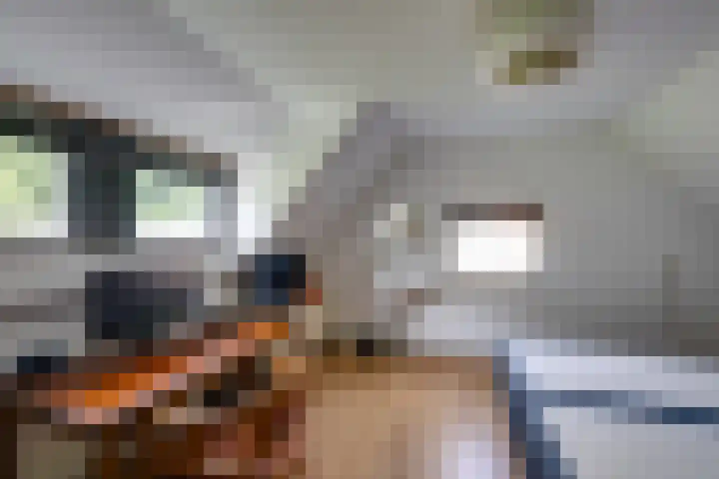 Slobbegorsedijk 15 Heijningen thumbnail 39