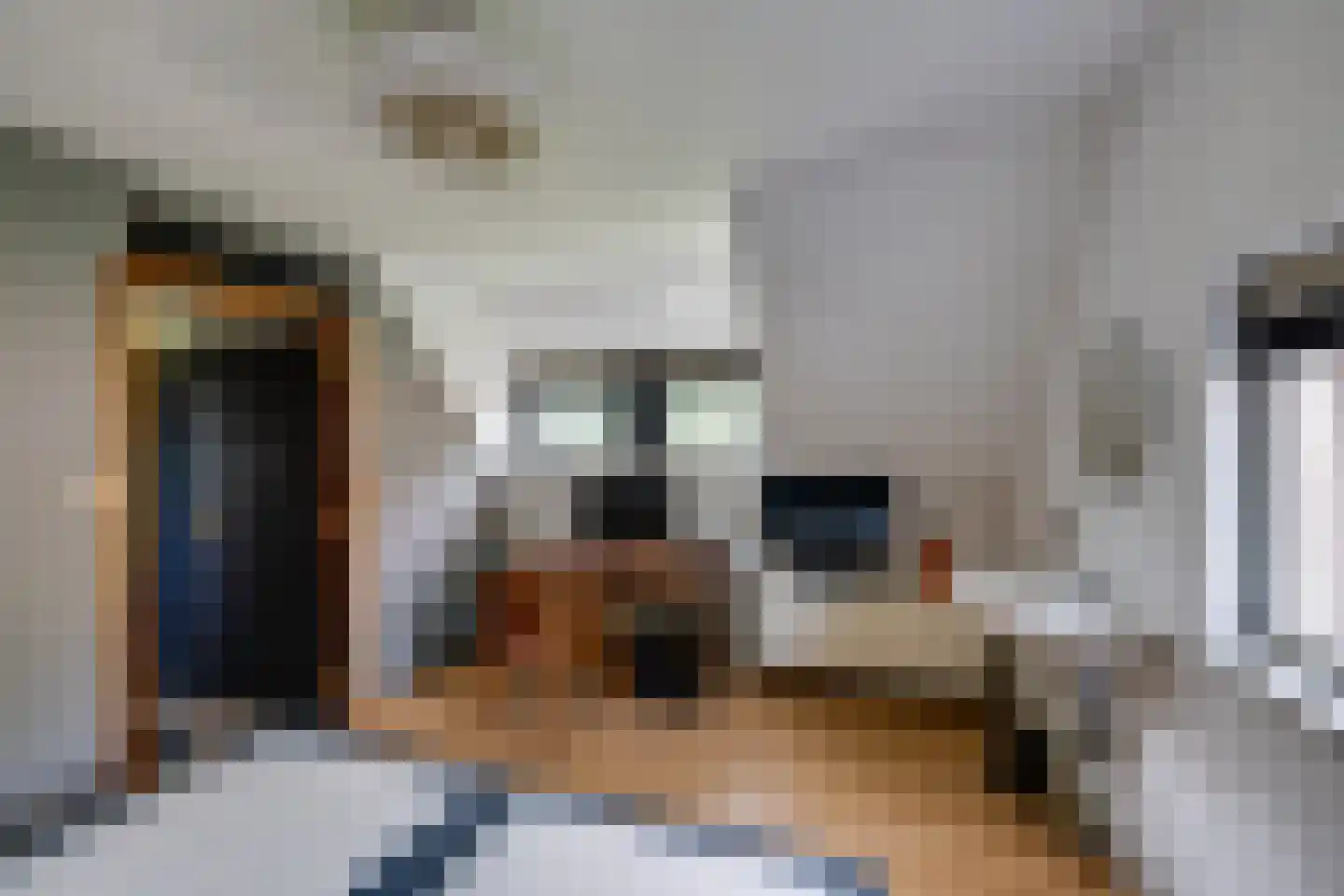 Slobbegorsedijk 15 Heijningen thumbnail 40