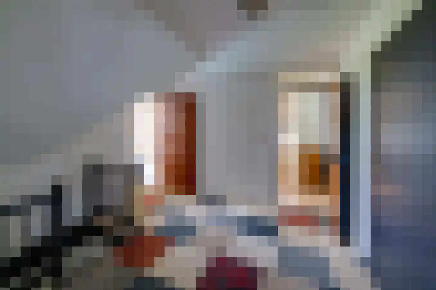 Slobbegorsedijk 15 Heijningen thumbnail 42