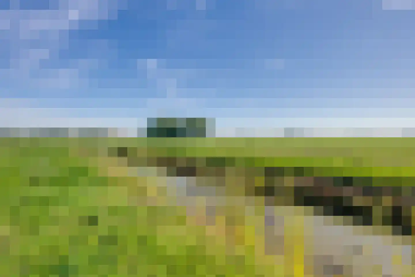Slobbegorsedijk 15 Heijningen thumbnail 58