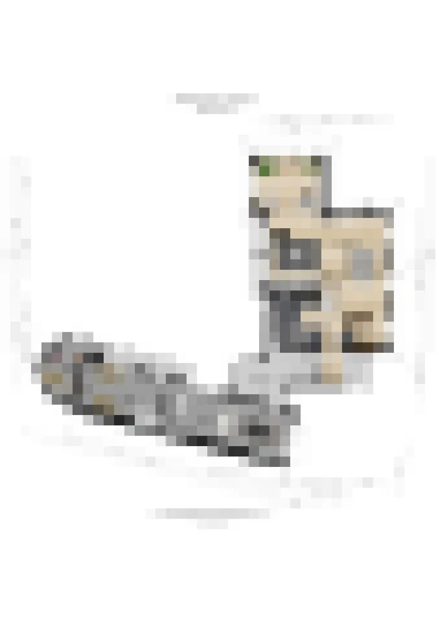 Slobbegorsedijk 15 Heijningen thumbnail 60