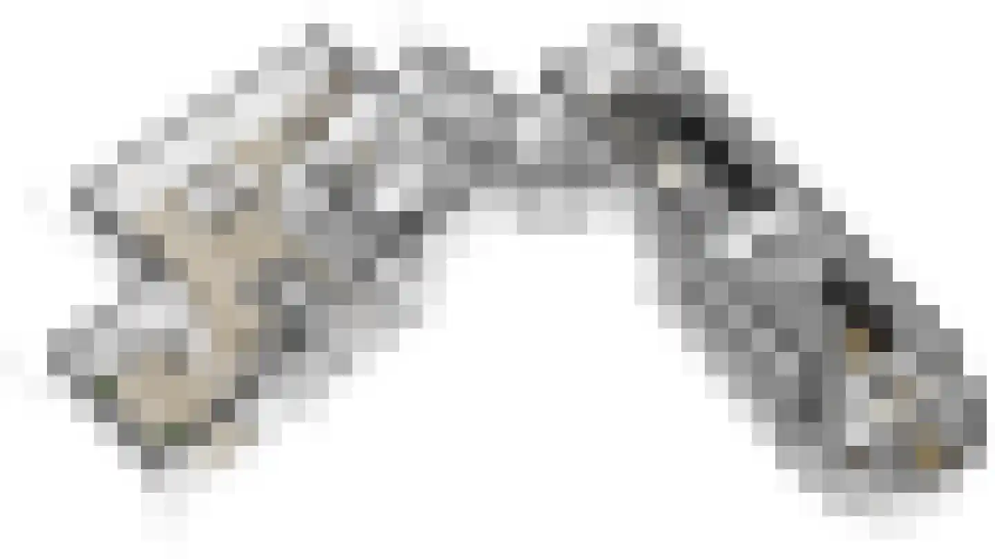 Slobbegorsedijk 15 Heijningen thumbnail 61