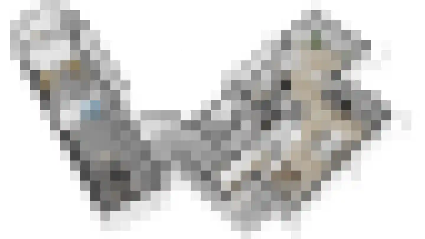 Slobbegorsedijk 15 Heijningen thumbnail 62