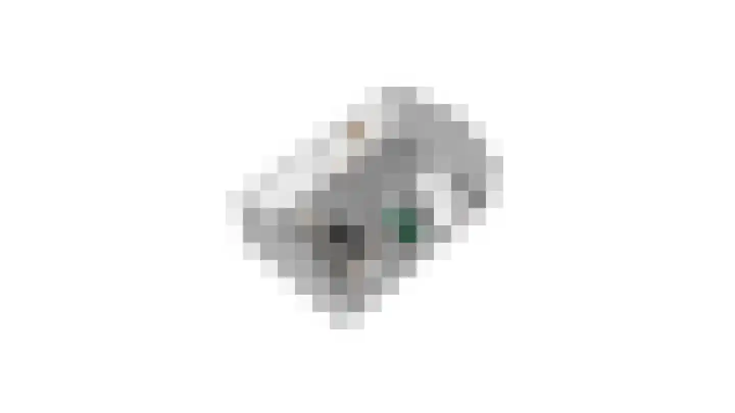 Slobbegorsedijk 15 Heijningen thumbnail 70