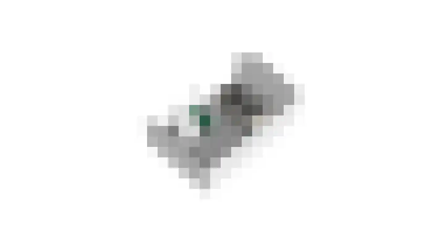 Slobbegorsedijk 15 Heijningen thumbnail 71