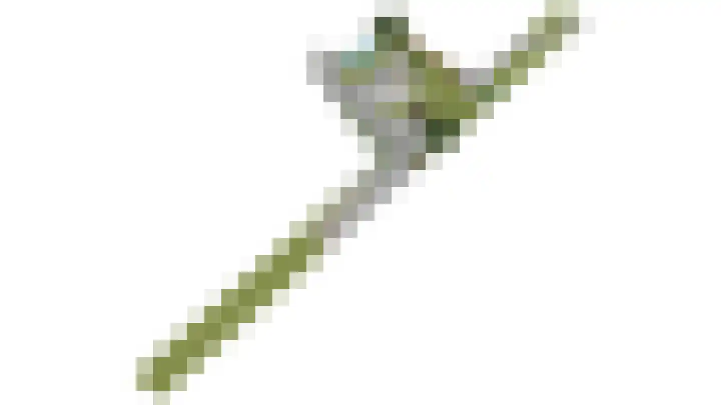 Slobbegorsedijk 15 Heijningen thumbnail 74