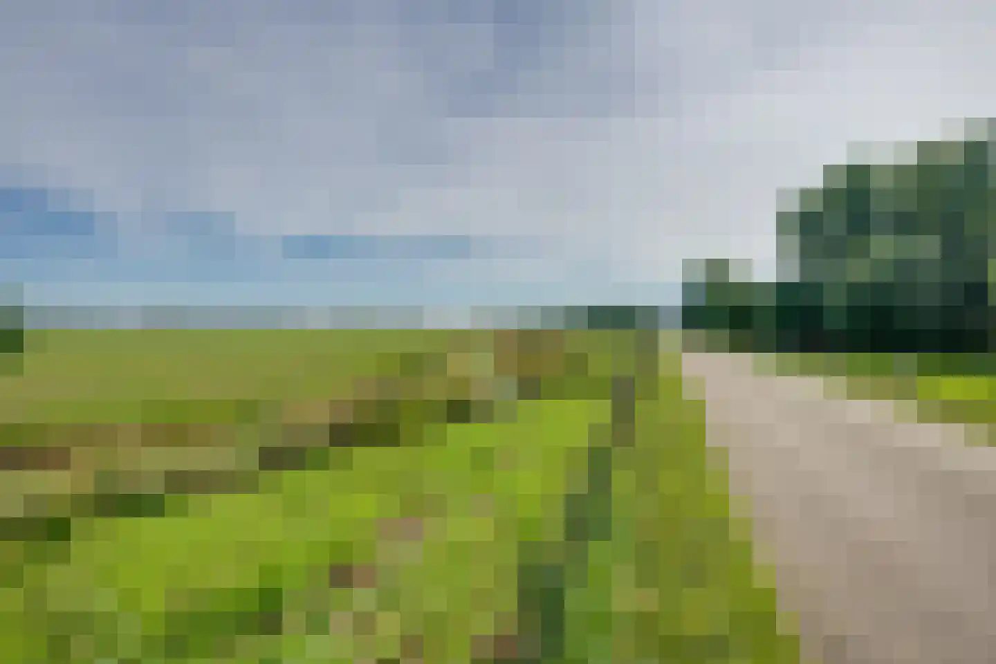 Slobbegorsedijk 15 Heijningen thumbnail 9