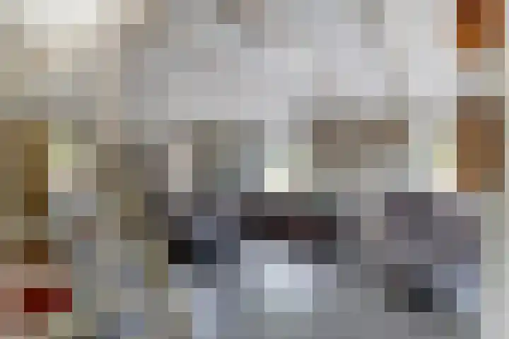 Slobbegorsedijk 17 Heijningen thumbnail 10