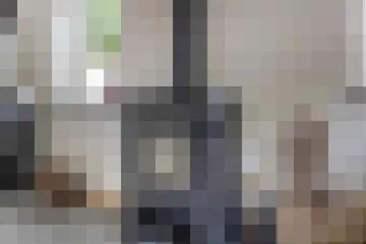 Slobbegorsedijk 17 Heijningen thumbnail 14