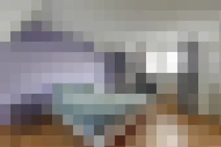 Slobbegorsedijk 17 Heijningen thumbnail 18
