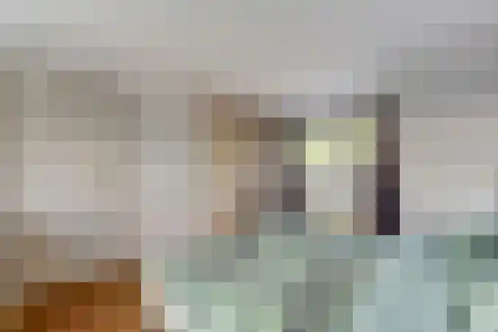Slobbegorsedijk 17 Heijningen thumbnail 19