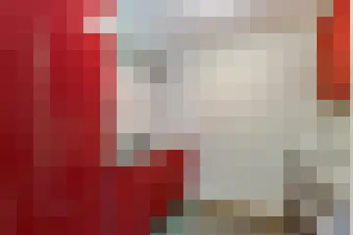 Slobbegorsedijk 17 Heijningen thumbnail 22