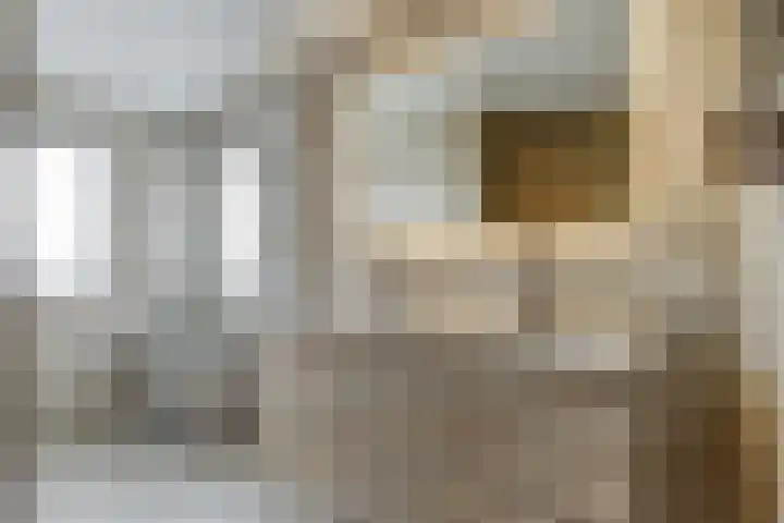 Slobbegorsedijk 17 Heijningen thumbnail 23