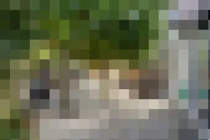 Slobbegorsedijk 17 Heijningen thumbnail 25