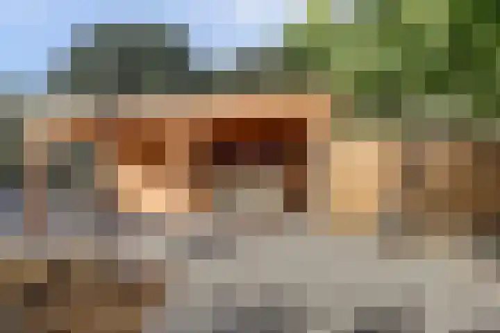 Slobbegorsedijk 17 Heijningen thumbnail 26