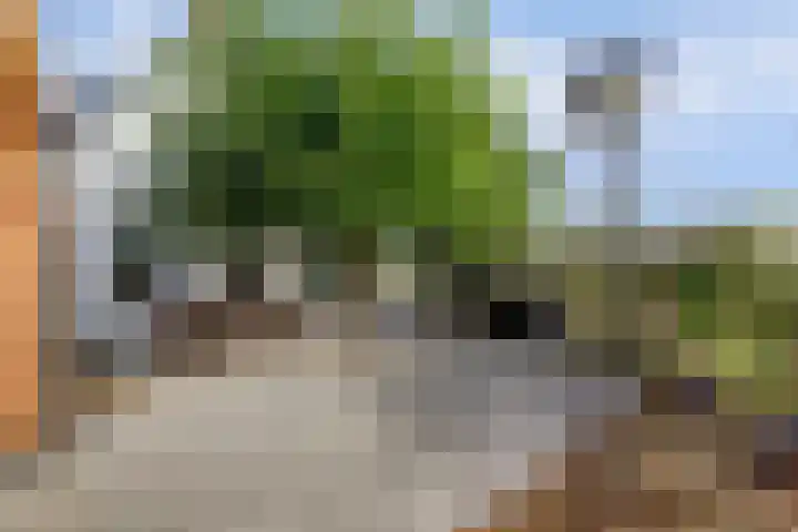 Slobbegorsedijk 17 Heijningen thumbnail 27