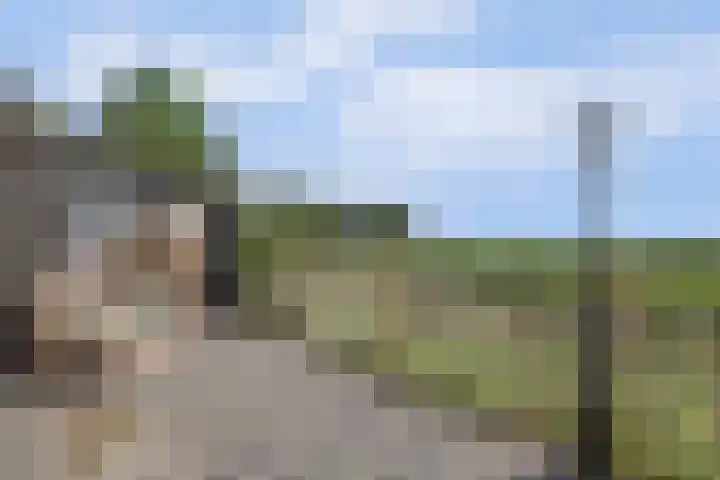 Slobbegorsedijk 17 Heijningen thumbnail 30