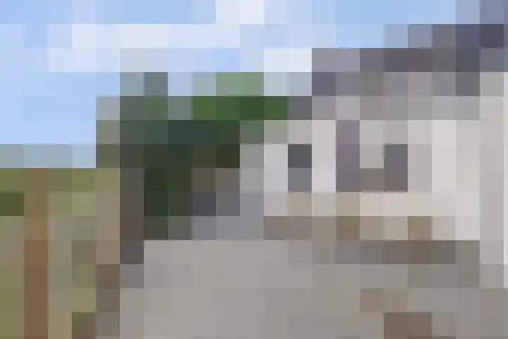 Slobbegorsedijk 17 Heijningen thumbnail 31