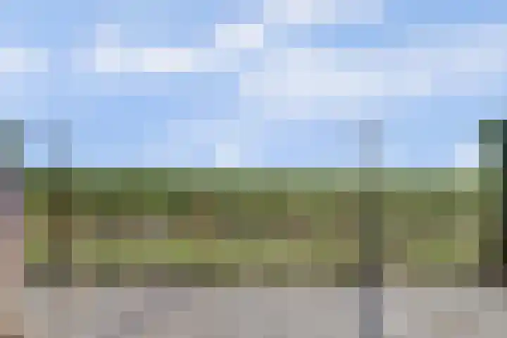 Slobbegorsedijk 17 Heijningen thumbnail 32