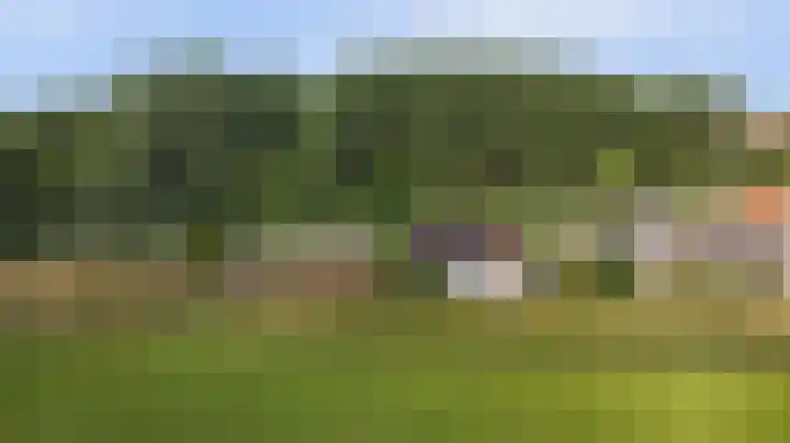 Slobbegorsedijk 17 Heijningen thumbnail 37