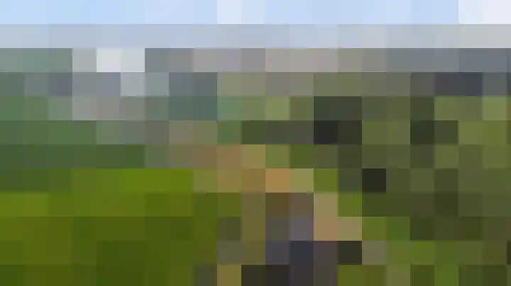 Slobbegorsedijk 17 Heijningen thumbnail 38
