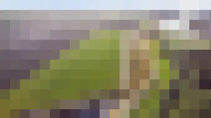 Slobbegorsedijk 17 Heijningen thumbnail 39