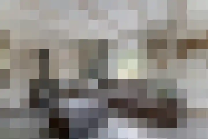 Slobbegorsedijk 17 Heijningen thumbnail 4