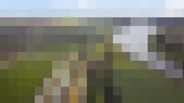 Slobbegorsedijk 17 Heijningen thumbnail 40