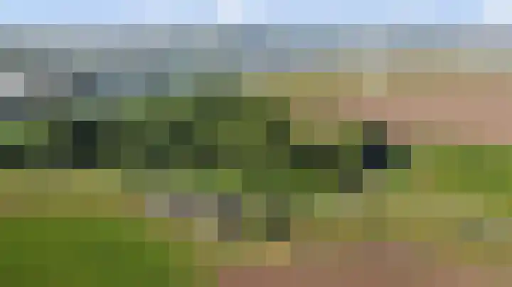 Slobbegorsedijk 17 Heijningen thumbnail 43