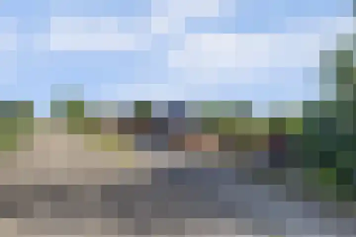 Slobbegorsedijk 17 Heijningen thumbnail 47