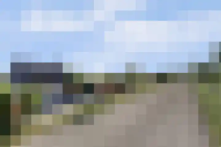 Slobbegorsedijk 17 Heijningen thumbnail 49