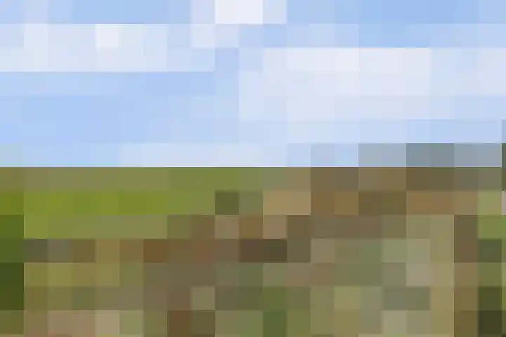 Slobbegorsedijk 17 Heijningen thumbnail 5