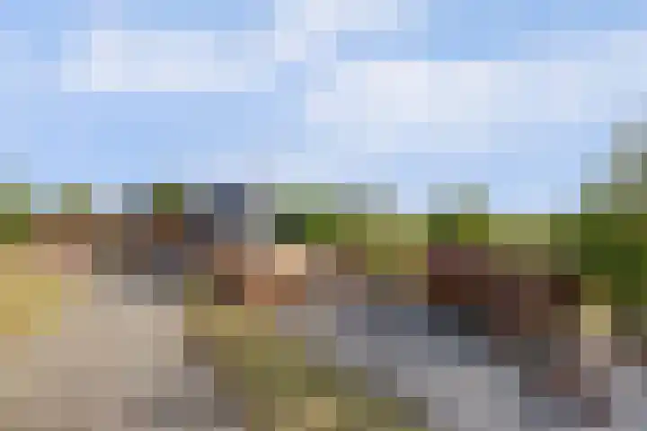 Slobbegorsedijk 17 Heijningen thumbnail 50
