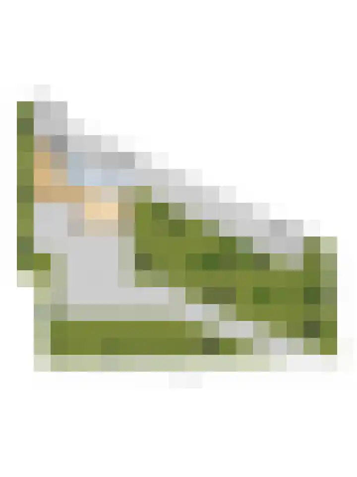 Slobbegorsedijk 17 Heijningen thumbnail 56