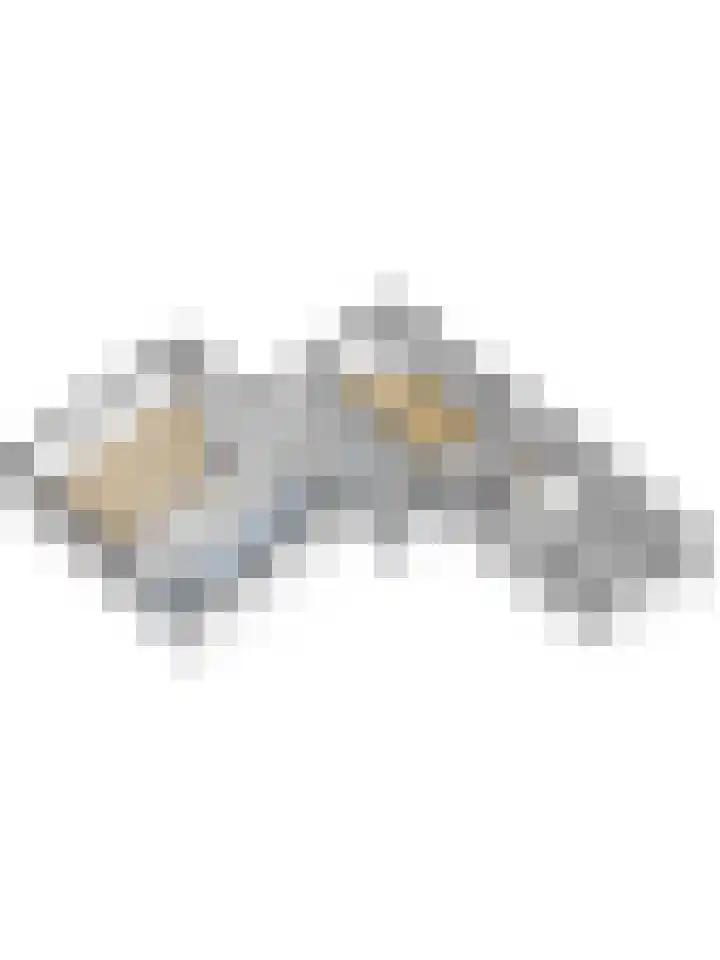 Slobbegorsedijk 17 Heijningen thumbnail 58