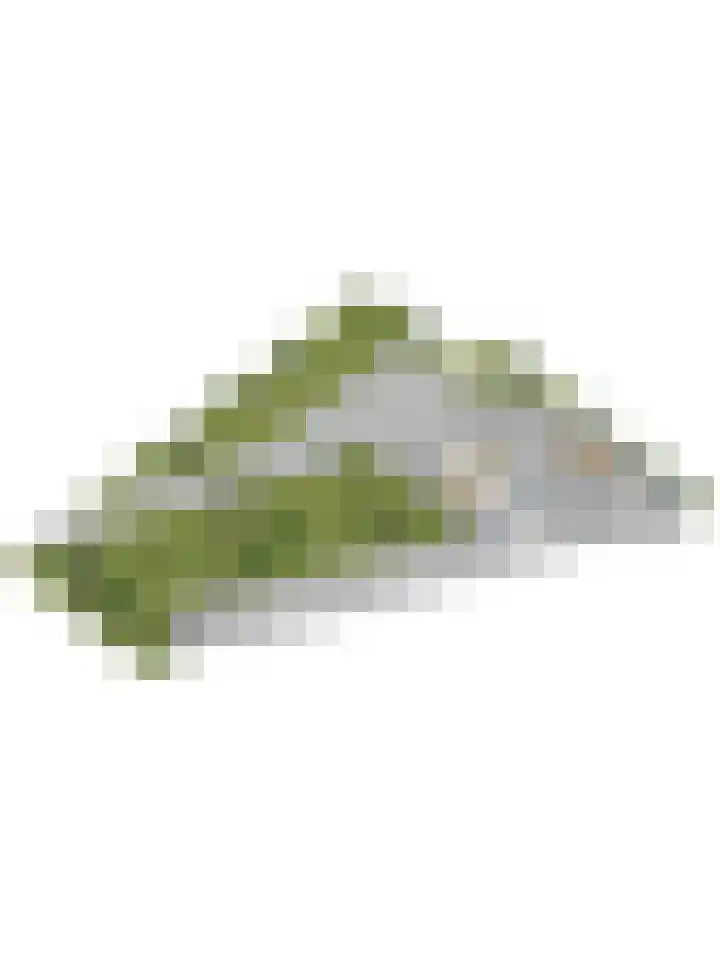 Slobbegorsedijk 17 Heijningen thumbnail 59