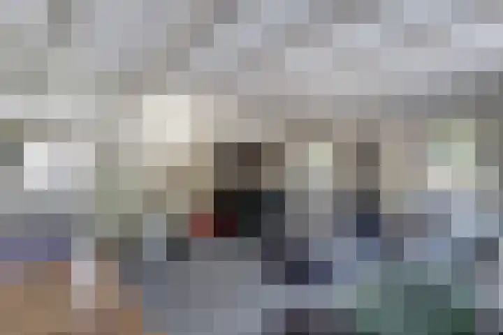 Slobbegorsedijk 17 Heijningen thumbnail 6