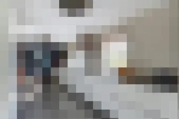 Slobbegorsedijk 17 Heijningen thumbnail 7