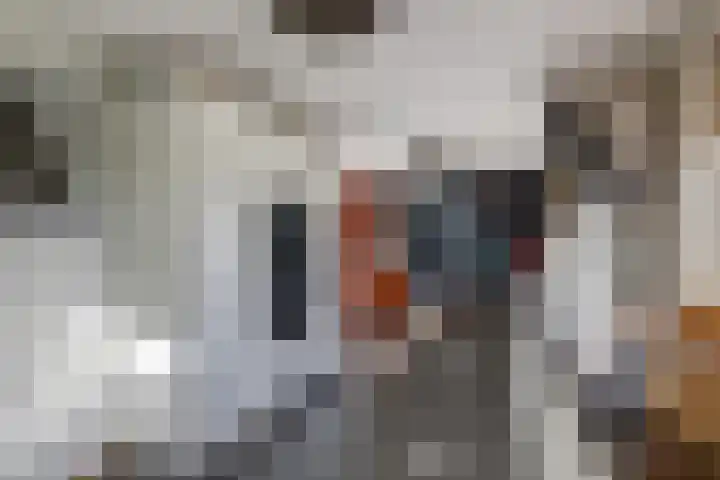 Slobbegorsedijk 17 Heijningen thumbnail 8