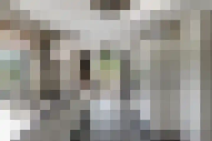 Slobbegorsedijk 17 Heijningen thumbnail 9