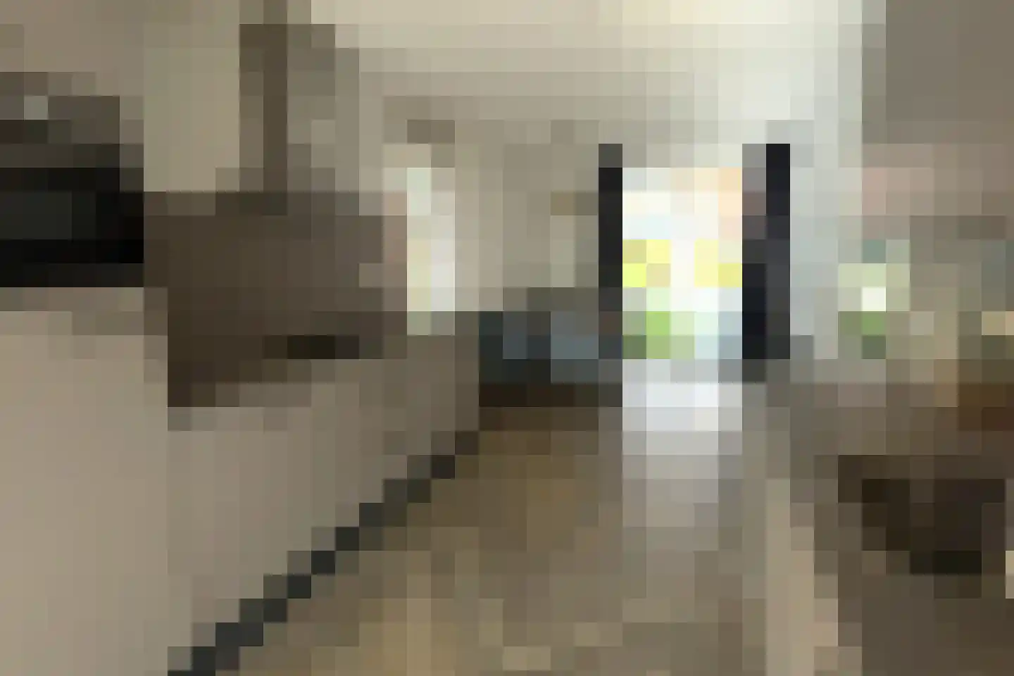 Slobbeland 5 26 Volendam thumbnail 8