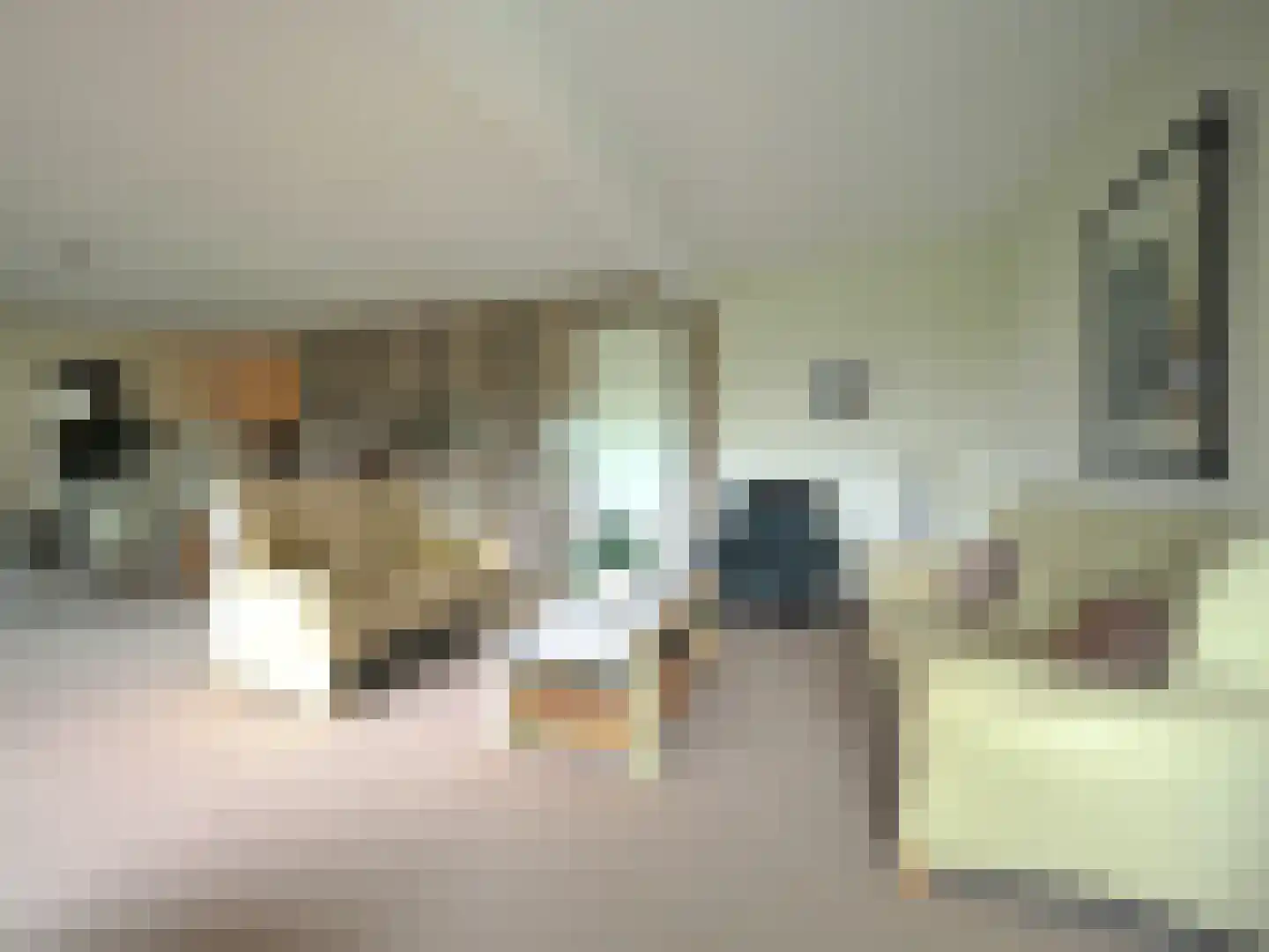 Slobbengorsweg 117 Papendrecht thumbnail 13