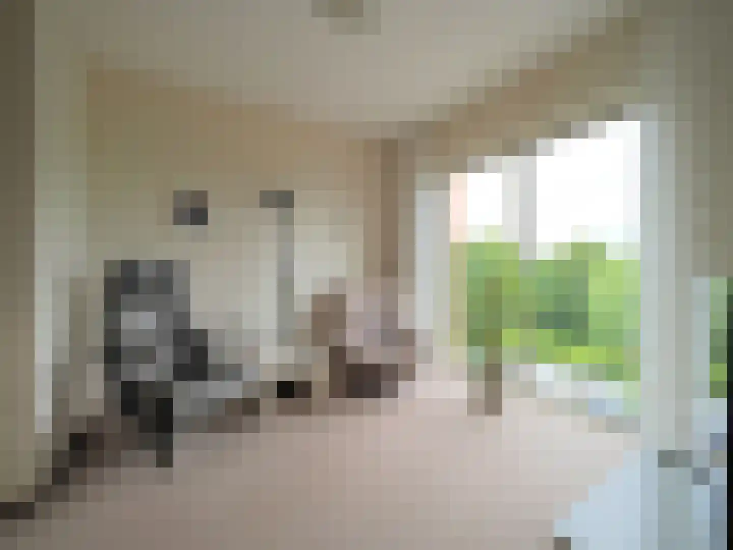 Slobbengorsweg 117 Papendrecht thumbnail 14