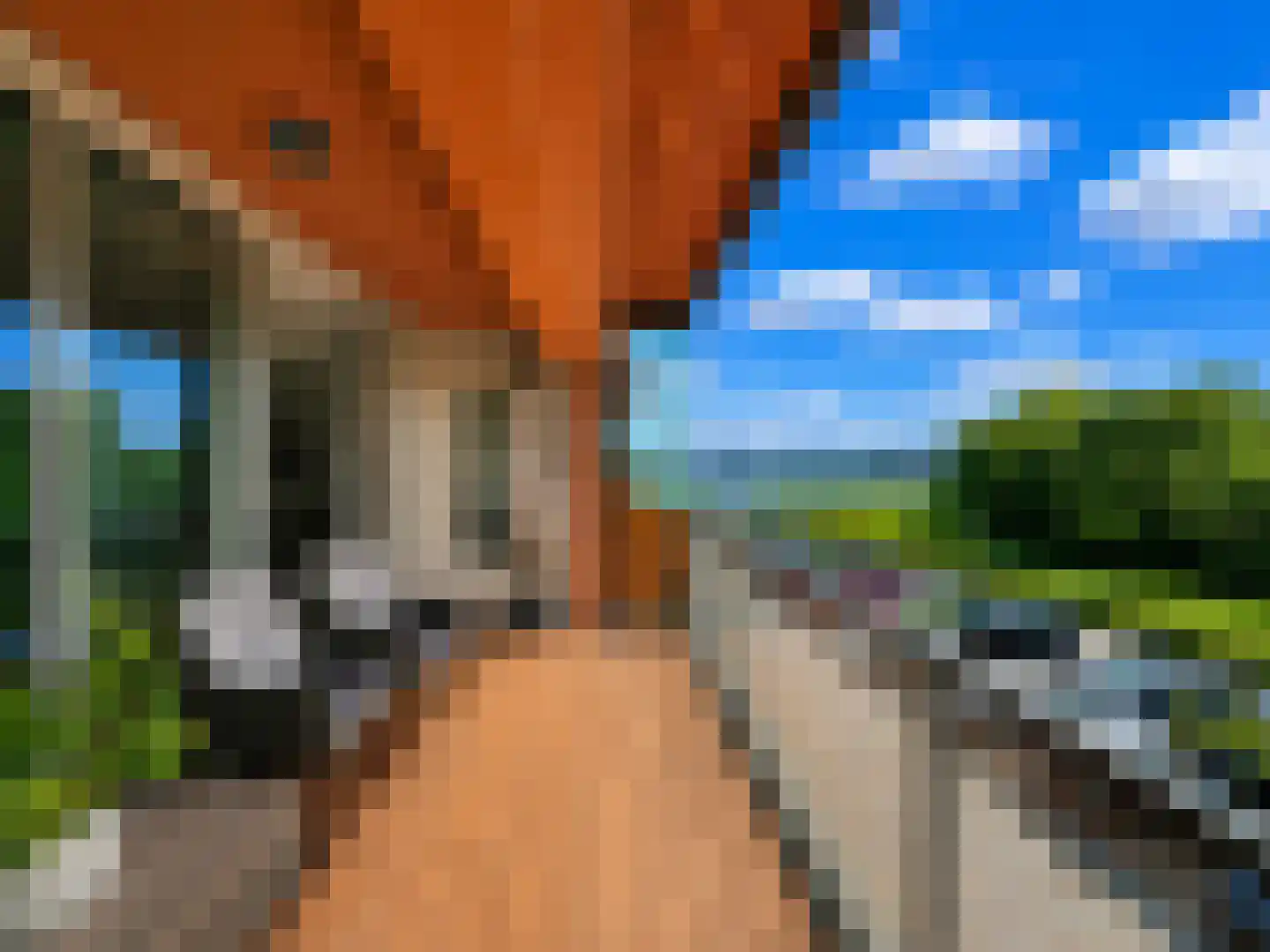Slobbengorsweg 117 Papendrecht thumbnail 18