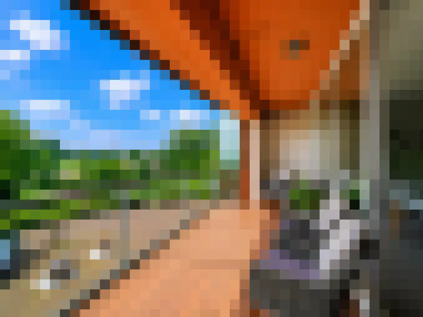 Slobbengorsweg 117 Papendrecht thumbnail 22