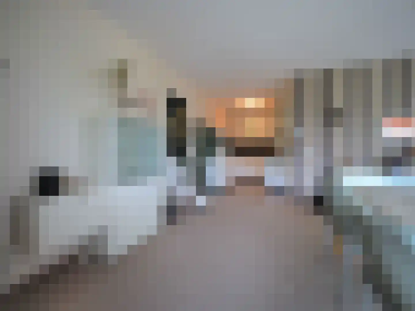 Slobbengorsweg 117 Papendrecht thumbnail 27